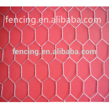 Anping hexagonal mesh / rabbit jaula / bird jaula /